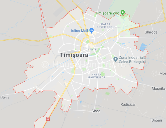 agentii imobiliare timisoara