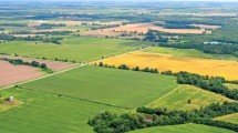 Teren de vanzare, Aviatiei